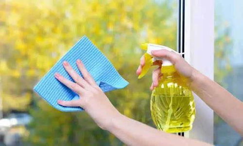 月嫂李彩华 月嫂李凤红