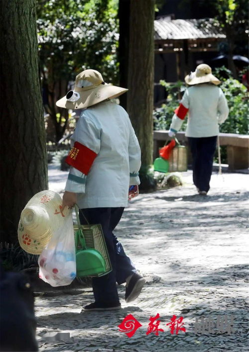 山西太原打保姆 太原保姆吧
