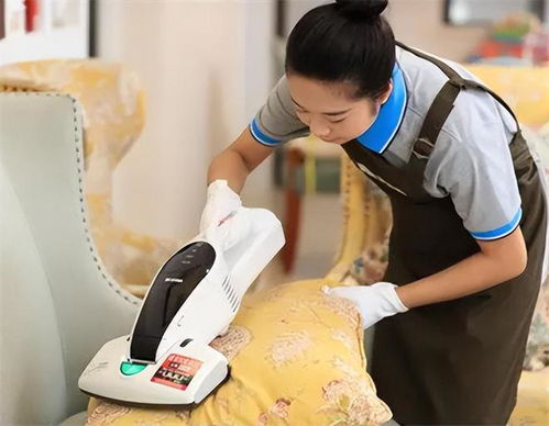 奔腾小马保姆奔腾的小马