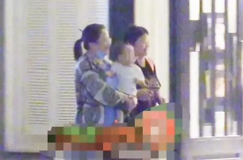 北京天鹅家政服务公司 北京天鹅家政服务公司