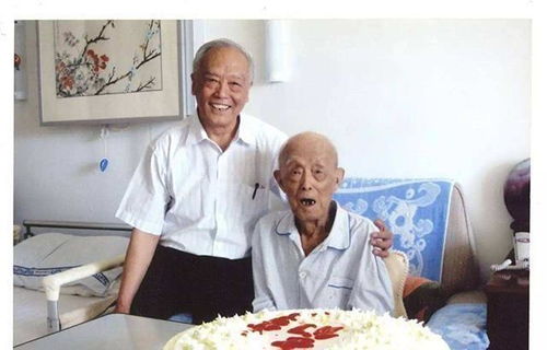 小保姆 关于写小保姆的小说