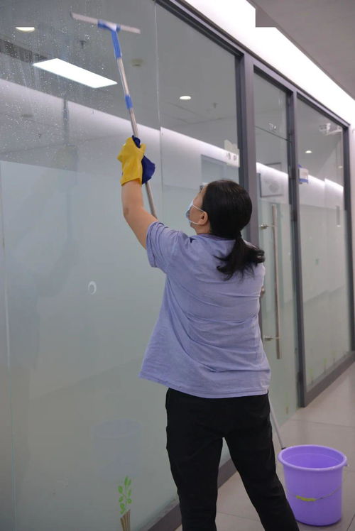 女王智慧这家月嫂公司怎么样 女王智慧这家月嫂公司怎么样