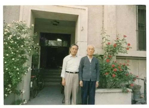 哪里月嫂服务好