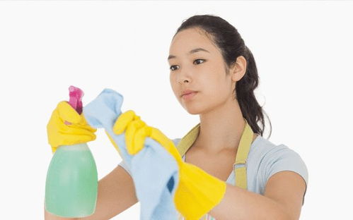 沈阳钟点工家政收费标准