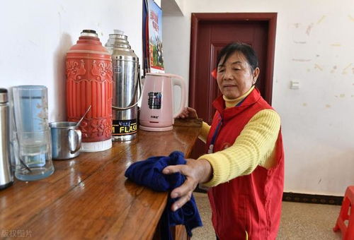 双流周边有没有钟点工 双流周边有没有钟点工