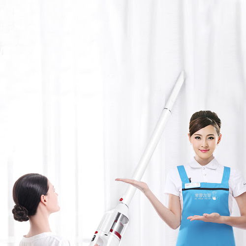 北京哪家月嫂比较好