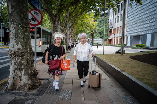 月嫂工资公司抽成多少