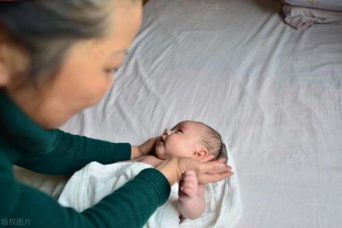 保姆顺从老板 保姆与老板电视剧