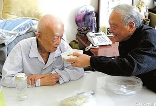 保育员报考官网在哪里如何报考保育员证