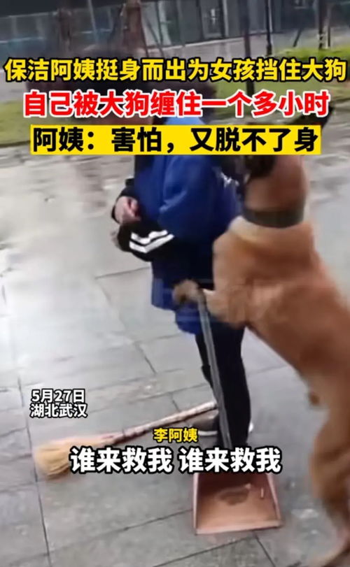 月嫂培训诸城学校报名 月嫂培训诸城学校报名