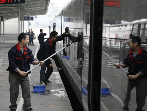 湛江上门保姆 湛江上门保姆电话