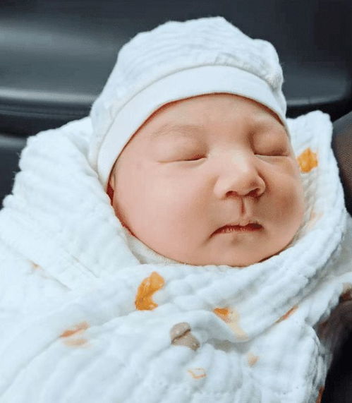 在裕华区找钟点工 在裕华区找钟点工工作