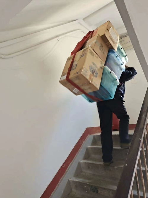 家政阿姨一个月多少钱