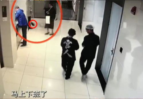 糙米粥保姆糙米煲粥好不好 糙米粥保姆糙米煲粥好不好