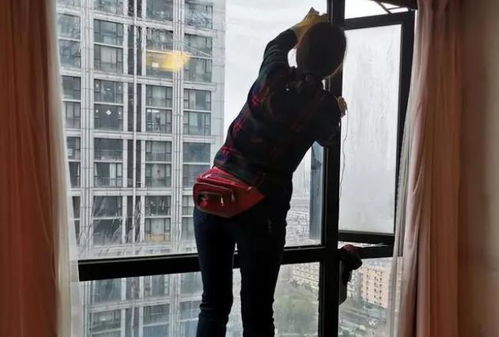 狮山付近有没招钟点工