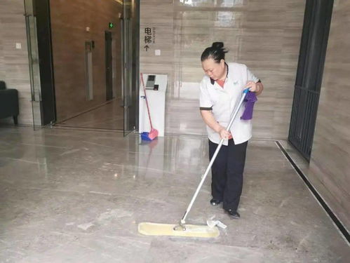 月嫂伊利组直播_月嫂伊利组直播是真的吗