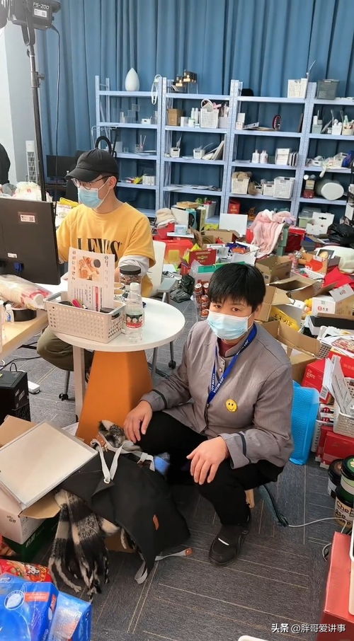 上海招聘保姆家政港上海家政保姆招聘