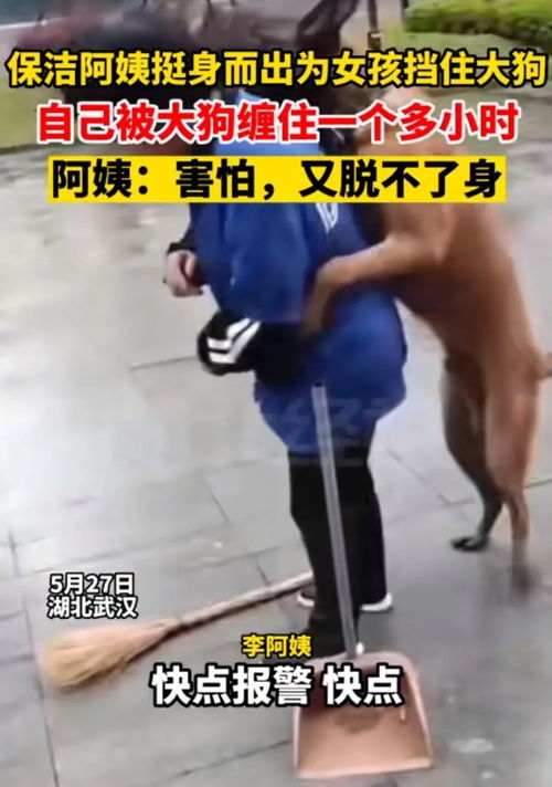 月嫂证去哪报名学习考 月嫂证去哪报名学习考