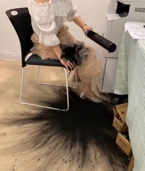 杭州保姆纵火案林杭州保姆纵火案林爸爸店铺 杭州保姆纵火案林杭州保姆纵火案林爸爸店铺