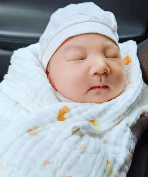 云岩区家政钟点工 云岩区家政服务中心