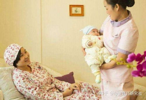 提供护理老人,陪护老人