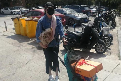 无锡钟点工机构招聘网 无锡钟点工机构招聘网