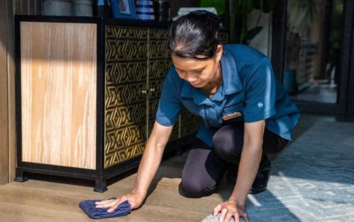 武昌大东门钟点工家政 武昌大东门钟点工家政