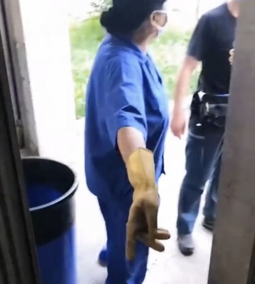 保姆级字帖字帖 推荐 保姆级字帖字帖 推荐