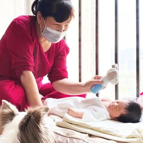 月嫂徐菊芳(月嫂徐艳琴) 月嫂徐菊芳(月嫂徐艳琴)