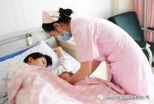 做饭阿姨钟点工白城_钟点工煮饭阿姨 做饭阿姨钟点工白城_钟点工煮饭阿姨