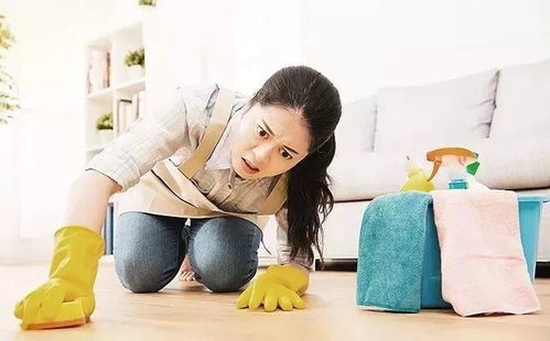 月嫂陈银花 月嫂陈启芳 月嫂陈银花 月嫂陈启芳