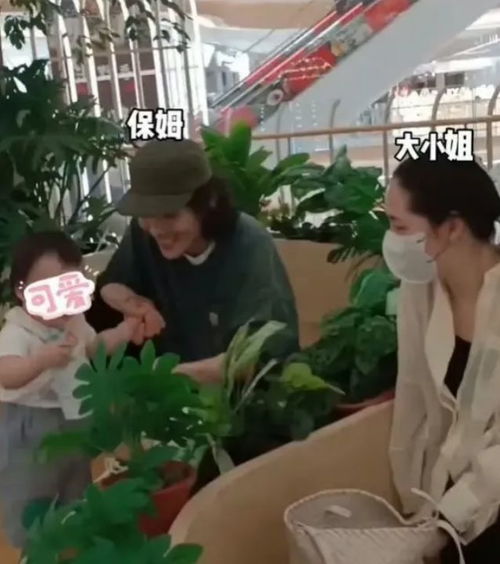 广元家政保姆公司