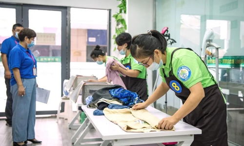 买房遇到保姆买房遇到保姆怎么办