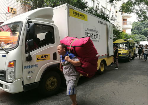 少爷戏保姆 少爷看上自家保姆的电视剧