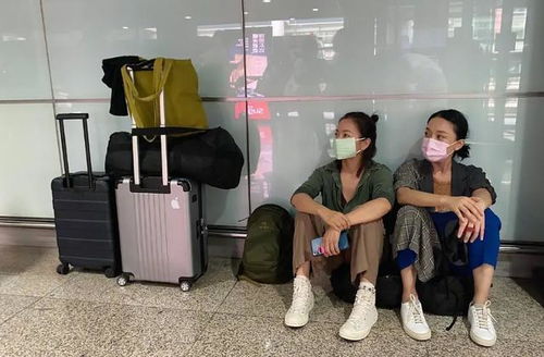 石家庄接孩子放学钟点工 石家庄接孩子放学钟点工