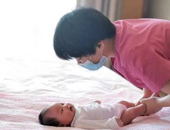 牡丹鹦鹉保姆牡丹鹦鹉的保护级别 牡丹鹦鹉保姆牡丹鹦鹉的保护级别