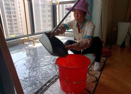 家政哪个项目最挣钱 家政哪个项目最挣钱