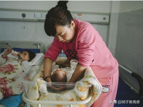 月嫂培训学校企业文化证 月嫂培训学校企业文化证