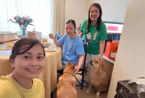 网上找保姆 哪个网站好 网上找保姆 哪个网站好