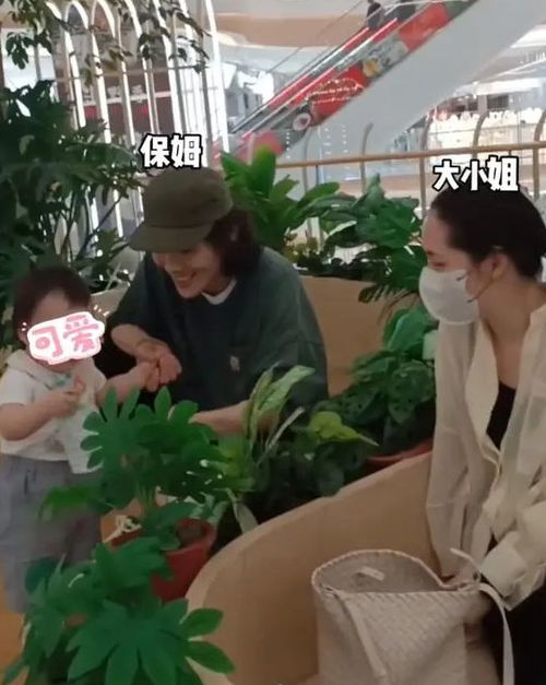 月紫佳月嫂—月嫂嘉园金牌月子餐 月紫佳月嫂—月嫂嘉园金牌月子餐