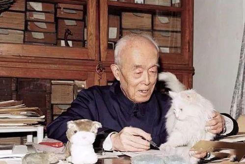 韩剧保姆老师 韩国电视剧保姆的介绍