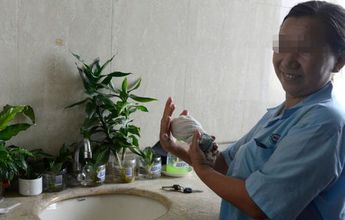 26天专业母婴照料服务费用概览