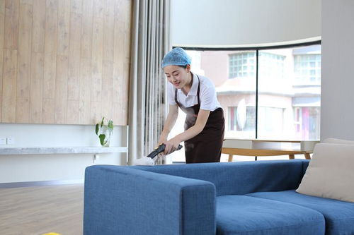 家政服务包括哪些工种