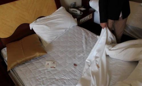 保姆哪有招保姆招收 保姆哪有招保姆招收