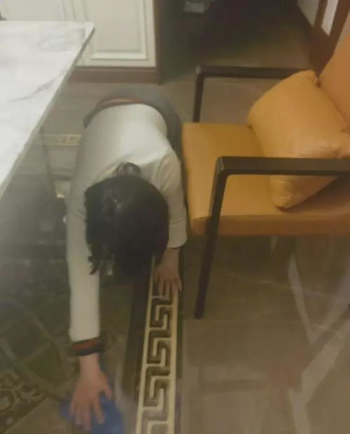 钟点工家政上海 钟点工 上海 钟点工家政上海 钟点工 上海