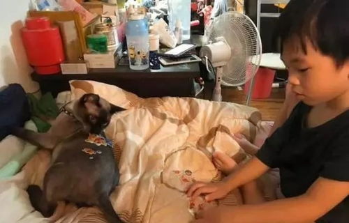 上海正规搬家公司一览，精选22家搬家名录