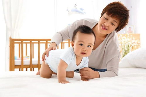 顺义阿姨钟点工(顺义钟点工兼职) 顺义阿姨钟点工(顺义钟点工兼职)