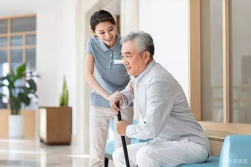 沈阳盆栽保姆(沈阳 盆景) 沈阳盆栽保姆(沈阳 盆景)