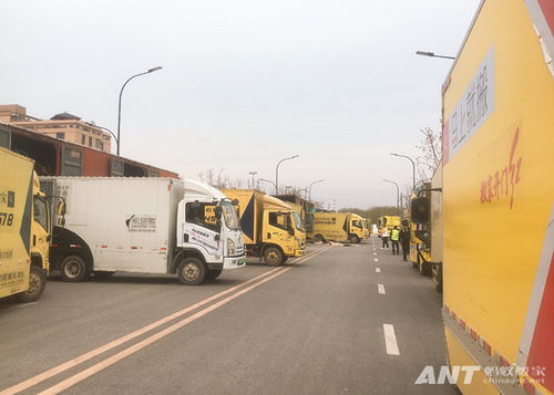 周至月嫂培训班学校学习