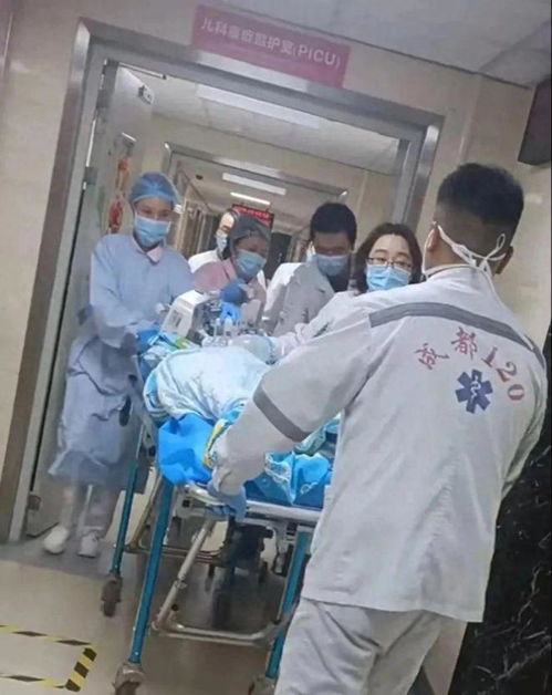 老板调教保姆老板调教保姆的电影